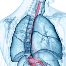Source: MedlinePlus, National Library of Medicine
